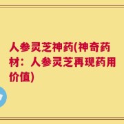 人参灵芝神药(神奇药材：人参灵芝再现药用价值)