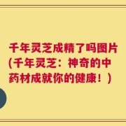 千年灵芝成精了吗图片(千年灵芝：神奇的中药材成就你的健康！)