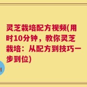 灵芝栽培配方视频(用时10分钟，教你灵芝栽培：从配方到技巧一步到位)