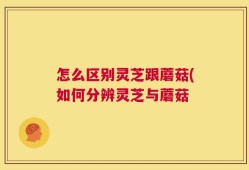 怎么区别灵芝跟蘑菇(如何分辨灵芝与蘑菇