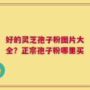 好的灵芝孢子粉图片大全？正宗孢子粉哪里买
