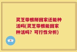 灵芝带根掰回家还能种活吗(灵芝带根能回家种活吗？可行性分析)