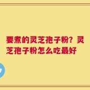 要煮的灵芝孢子粉？灵芝孢子粉怎么吃最好