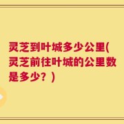灵芝到叶城多少公里(灵芝前往叶城的公里数是多少？)