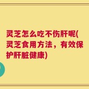 灵芝怎么吃不伤肝呢(灵芝食用方法，有效保护肝脏健康)
