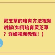 灵芝草的培育方法视频讲解(如何培育灵芝草？详细视频教程！)