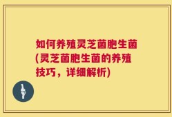 如何养殖灵芝菌胞生菌(灵芝菌胞生菌的养殖技巧，详细解析)