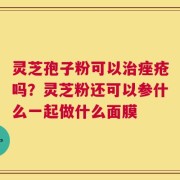 灵芝孢子粉可以治痤疮吗？灵芝粉还可以参什么一起做什么面膜
