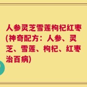 人参灵芝雪莲枸杞红枣(神奇配方：人参、灵芝、雪莲、枸杞、红枣治百病)