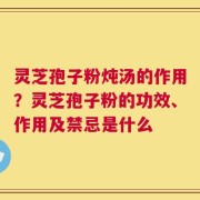 灵芝孢子粉炖汤的作用？灵芝孢子粉的功效、作用及禁忌是什么