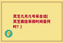 灵芝几月几号采合适(灵芝最佳采摘时间是何时？)