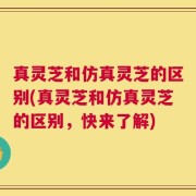真灵芝和仿真灵芝的区别(真灵芝和仿真灵芝的区别，快来了解)