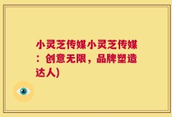 小灵芝传媒小灵芝传媒：创意无限，品牌塑造达人)