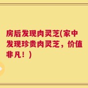 房后发现肉灵芝(家中发现珍贵肉灵芝，价值非凡！)