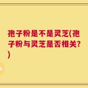 孢子粉是不是灵芝(孢子粉与灵芝是否相关？)