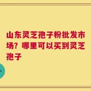 山东灵芝孢子粉批发市场？哪里可以买到灵芝孢子