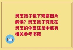 灵芝孢子镜下观察图片解读？灵芝孢子究竟在灵芝的伞面还是伞底有相关参考书籍