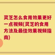 灵芝怎么食用效果更好一点视频(灵芝的食用方法及最佳效果视频指南)