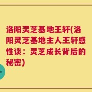 洛阳灵芝基地王轩(洛阳灵芝基地主人王轩感性谈：灵芝成长背后的秘密)