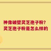 神像破壁灵芝孢子粉？灵芝孢子粉是怎么样的