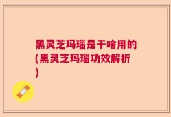 黑灵芝玛瑙是干啥用的(黑灵芝玛瑙功效解析)