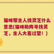 猫咪帮主人找灵芝什么意思(猫咪助阵寻找灵芝，主人大喜过望！)