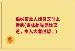 猫咪帮主人找灵芝什么意思(猫咪助阵寻找灵芝，主人大喜过望！)