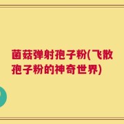菌菇弹射孢子粉(飞散孢子粉的神奇世界)