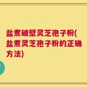 盐煮破壁灵芝孢子粉(盐煮灵芝孢子粉的正确方法)