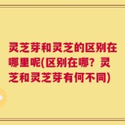 灵芝芽和灵芝的区别在哪里呢(区别在哪？灵芝和灵芝芽有何不同)