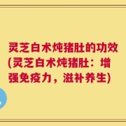 灵芝白术炖猪肚的功效(灵芝白术炖猪肚：增强免疫力，滋补养生)