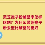 灵芝孢子粉破壁率怎样区别？为什么灵芝孢子粉去壁比破壁的更好