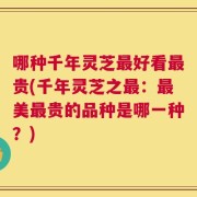 哪种千年灵芝最好看最贵(千年灵芝之最：最美最贵的品种是哪一种？)
