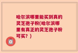 哈尔滨哪里能买到真的灵芝孢子粉(哈尔滨哪里有真正的灵芝孢子粉可买？)