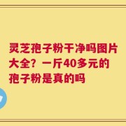 灵芝孢子粉干净吗图片大全？一斤40多元的孢子粉是真的吗