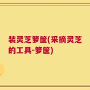 装灵芝箩筐(采摘灵芝的工具-箩筐)