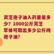 灵芝孢子油入药量是多少？1000公斤灵芝萃体可取出多少公斤纯孢子油？