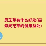 灵芝草有什么好处(探索灵芝草的健康益处)