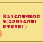 灵芝什么作用啊能吃的呢(灵芝有什么作用？能不能食用？)