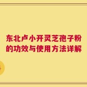 东北卢小开灵芝孢子粉的功效与使用方法详解