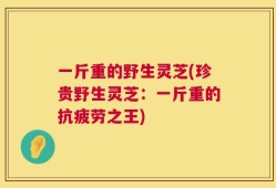 一斤重的野生灵芝(珍贵野生灵芝：一斤重的抗疲劳之王)