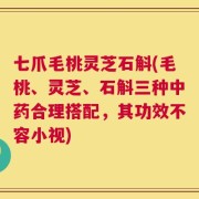 七爪毛桃灵芝石斛(毛桃、灵芝、石斛三种中药合理搭配，其功效不容小视)