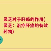灵芝对于肝癌的作用(灵芝：治疗肝癌的有效药物)