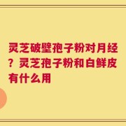 灵芝破壁孢子粉对月经？灵芝孢子粉和白鲜皮有什么用