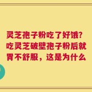 灵芝孢子粉吃了好饿？吃灵芝破壁孢子粉后就胃不舒服，这是为什么