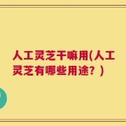 人工灵芝干嘛用(人工灵芝有哪些用途？)