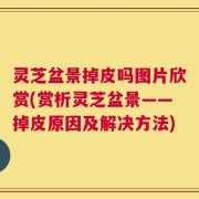 灵芝盆景掉皮吗图片欣赏(赏析灵芝盆景——掉皮原因及解决方法)