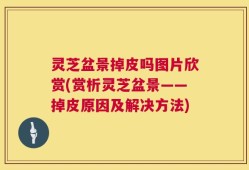 灵芝盆景掉皮吗图片欣赏(赏析灵芝盆景——掉皮原因及解决方法)