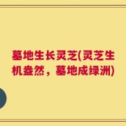 墓地生长灵芝(灵芝生机盎然，墓地成绿洲)