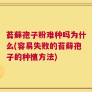 苔藓孢子粉难种吗为什么(容易失败的苔藓孢子的种植方法)